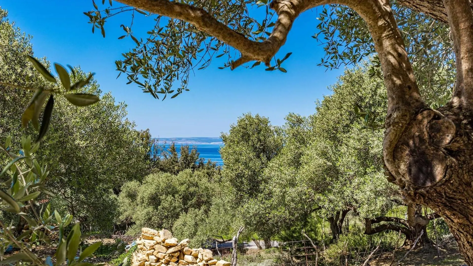 Guest house Anamar Apartments & Rooms Supetarska Draga Croatia